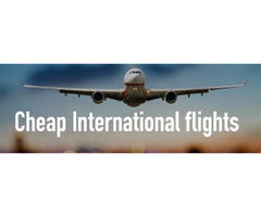 Book Cheap Plane Tickets online