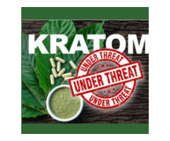Affordable Kratom Extracts for Discerning Enthusiasts