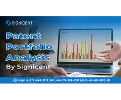Patent Portfolio Analysis - Signicent LLP