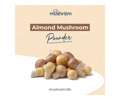 Almond Mushroom