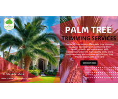 Palm Tree Trimming Las Vegas