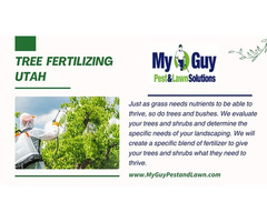 Revitalize Your Landscape with My Guy Pest and Lawn: Premier Tree Fertilizing Services in Utah