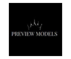 The preview model had top-notch support for the models.-Preview Models