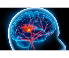Neuro Brain: Know Here Its Benefits, Cost And Results
