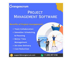 Best Project Management tool - Orangescrum
