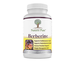 Nature’s Pure Berberine: Health Related Benefits, Trimmings And How To Purchase?
