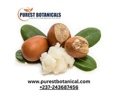 Buy Shea Butter Online | Purest Botanical