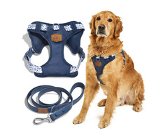 Premium Dog Harness and Leash Set for Ultimate Control and Comfort