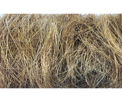Get the super-washed and sustainable solution of coconut coir substrate from RIOCOCO