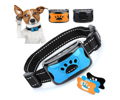 Effective and Humane Anti-Bark Dog Collars for Peaceful Living