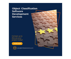 Object Classification Software Development Services