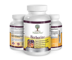 Read Here Purchasing Guidelines Of This Nature's Pure Berberine
