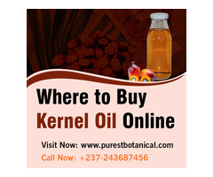 Buy Kernel Oil Online from Purest Botanical