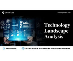 Technology Landscape Analysis