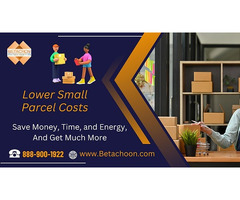 Save Big on Small Parcel Shipping Costs with Betachon Freight Auditing