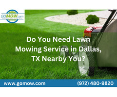 Do You Need Lawn Mowing Service in Dallas, TX Nearby You?