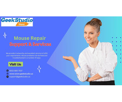 Quick and Efficient Mouse Repair Services in Chandler, AZ, USA | Contact Us: (602) 880-7537