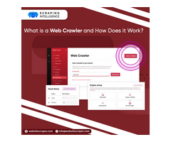 What Is A Web Crawler And How Does It Work?
