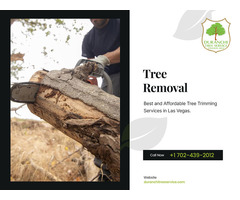 Las Vegas Urgent Palm Removal: Get a Free Quote Today!