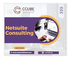 netsuite functional consultant