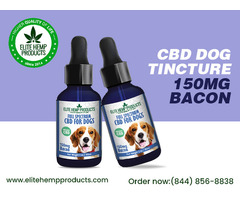 Get CBD Tinctures for Pets and Keep Your Dog Healthy