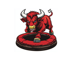 Best Mechanical Bull Rental DFW