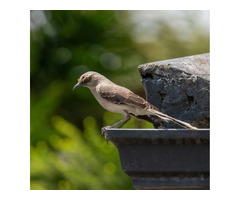 Thermal Insulation Services in Pennsylvania