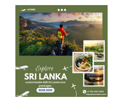 Customizable B2B Sri Lanka Tour Packages