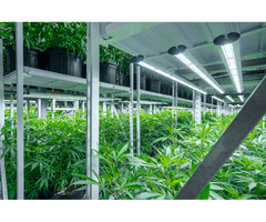 Mobile Vertical Grow Rack System