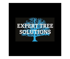 Expert Tree Solutions