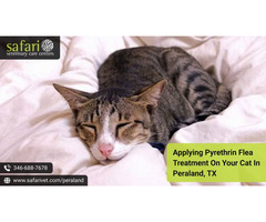 Protect Your Cat in Pearland: Pyrethrin Flea Treatment Guide