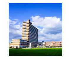 Robert Davis, MS, LAc