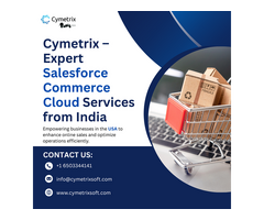 Salesforce Commerce Cloud Consultants In India