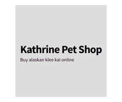 Kathrine Pet Shop
