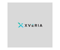 Business Website Development Service | Xveria