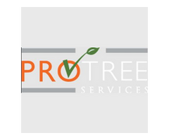 Pro Tree Services LLC